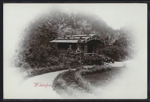 AK Wildalpe, Wanderhütte mit Besuchern