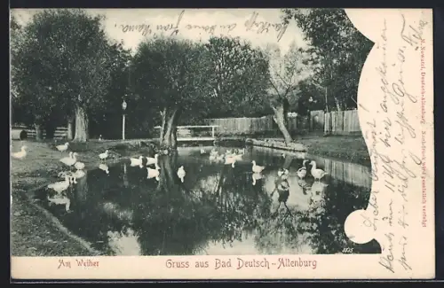 AK Bad Deutsch-Altenburg, Partie am Weiher