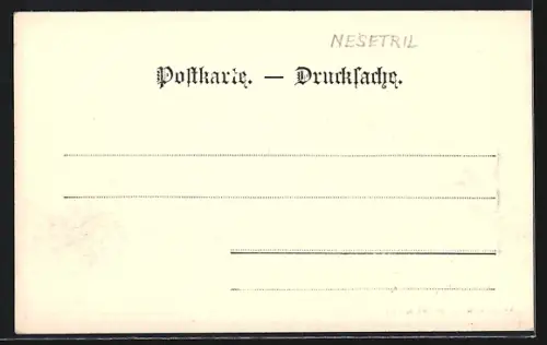 AK Weidlingau, Teilansicht mit Blick zum Berg