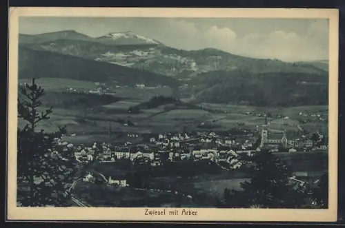 AK Zwiesel / Bayern, Totale mit Arber
