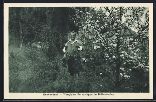 AK Eschenbach / Hersbrucker Schweiz, Wengleins Parkanlagen im Blütenzauber
