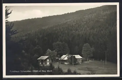 AK Scharreben /Bay. Wald, Blick auf Forsthaus