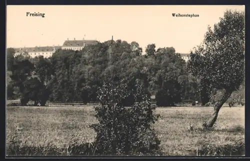 AK Freising, Landschaftspartie am Ortsrand