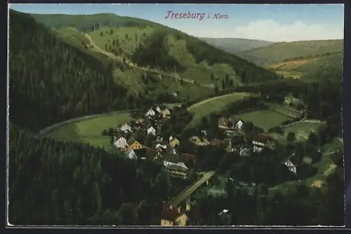AK Treseburg i. Harz, Panorama mit Strassenpartie