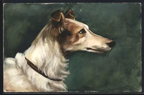 Künstler-AK Handgemalt: Porträt eines Windhundes