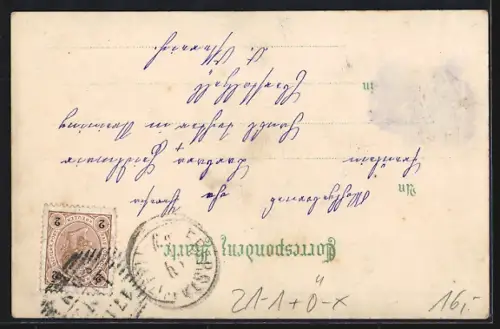 Lithographie Linz, Brücke und Urfahrt, Halt gegen das Licht