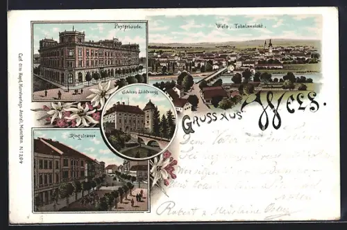 Lithographie Wels, Totalansicht, Postgebäude, Ringstrasse, Schloss Lichtenegg, Blumen