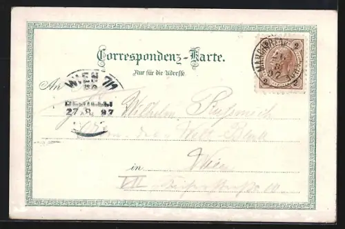 Lithographie Wels, Totalansicht, Postgebäude, Ringstrasse, Schloss Lichtenegg, Blumen