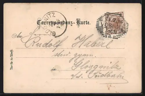 Lithographie Vöslau, Hotel Zwierschütz, Totalansicht