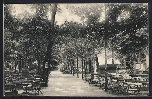 AK Magdeburg, Salzquelle, im Gartenlokal