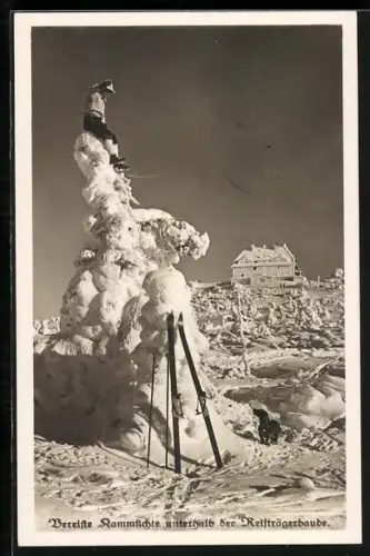 AK Reifträgerbaude mit vereister Kammfichte und Skifahrer