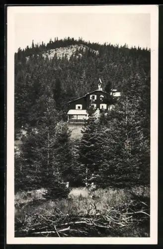 AK Hallerhaus, Berghütte am Wechsel