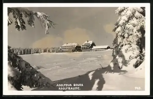 AK Adolfbaude, Berghütte im Schnee