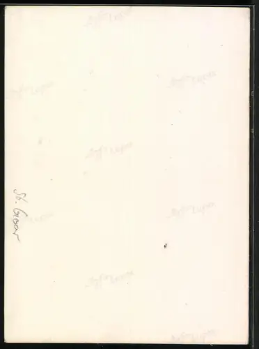 Fotografie unbekannter Fotograf, Ansicht St. Goar, Buchhandlung Carl Glass mit Ansichtskarten-Vitrine