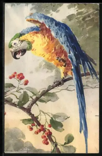 Künstler-AK Catharina Klein: Papagei sitzt auf dem Ast und spreizt die Flügel