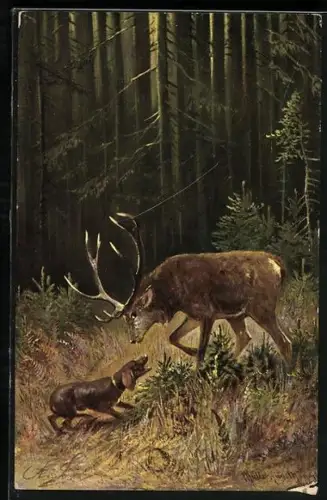 Künstler-AK M. Müller jun.: Hirsch und Jagdhund