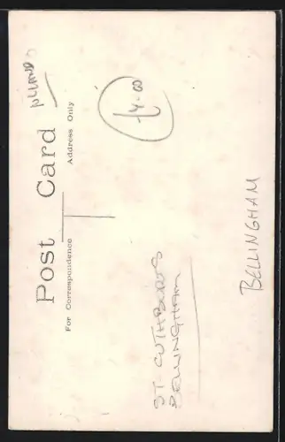 AK Bellingham, Panorama