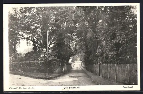 AK Old Bracknell, Strassenpartie mit Bäumen