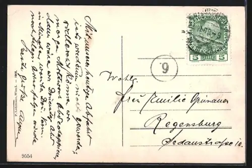 AK Wien, Totalansicht mit Peterskirche