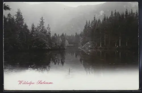AK Wildalpe, Blick den Siebensee