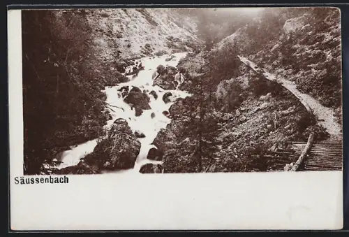 AK Sölk /Stmk., Säussenbach, Bach mit Pfad