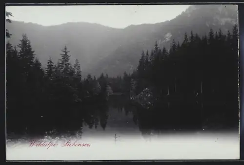 AK Wildalpe, Blick den Siebensee