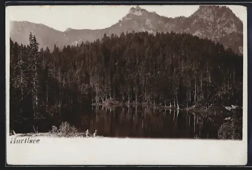 AK Wildalpen /Stmk., Hartlsee, See mit Waldumgebung