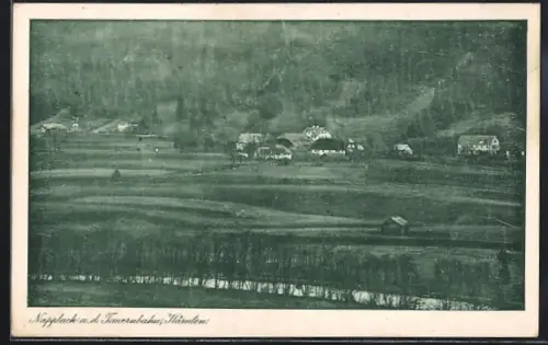 AK Reisseck /Kärnten, Napplach a. d. Tauernbahn, Teilansicht mit Ackerlandschaft