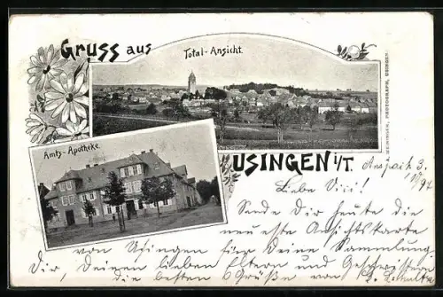 AK Usingen i. T., Amts-Apotheke, Ortspanorama