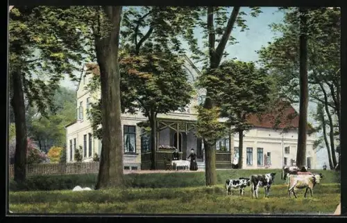 AK Schönebeck / Vegesack, Forsthaus Alte Weide mit Kühen