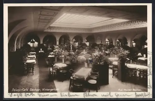 AK Bautzen, Palast-Café, Wintergarten