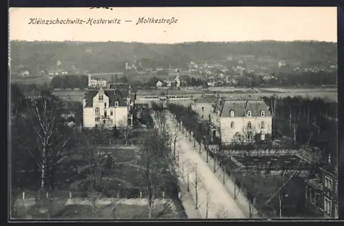 AK Dresden-Hosterwitz, Moltkestrasse
