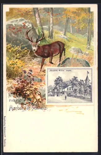 Lithographie Harburg, Gasthaus Goldene Wiege, Partie aus der Harburger Schweiz