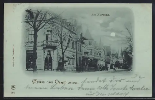 Mondschein-AK Bad Oeynhausen, Strasse Am Kurpark