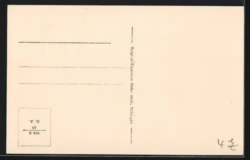 AK Pottenstein, Gesamtansicht