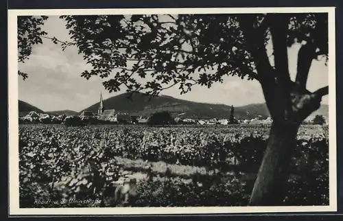 AK Rhodt an der Weinstrasse, Ortsansicht aus der Ferne