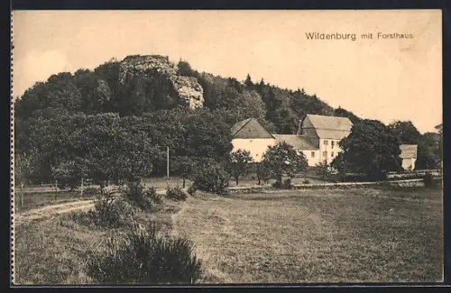 AK Wildenburg / Friesenhagen, Panorama mit Forsthaus