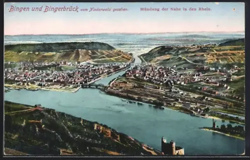 AK Bingen / Rhein, Bingerbrück, Mündung der Nahe in den Rhein, Ansicht vom Niederwald