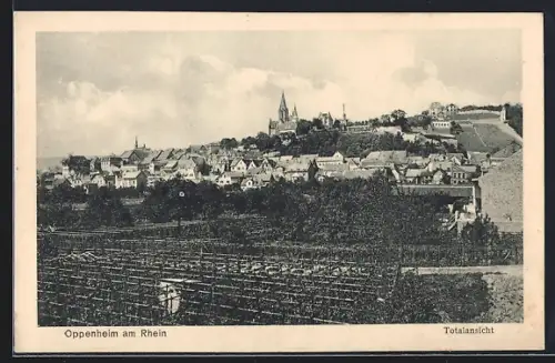AK Oppenheim am Rhein, Totalansicht