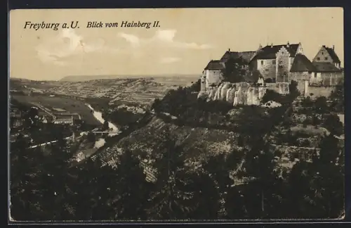 AK Freyburg a. U., Blick vom Hainberg auf Schloss und Umgebung