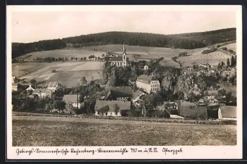 AK Rechenberg-Bienenmühle, Ortsansicht mit Kirche und Burganlage