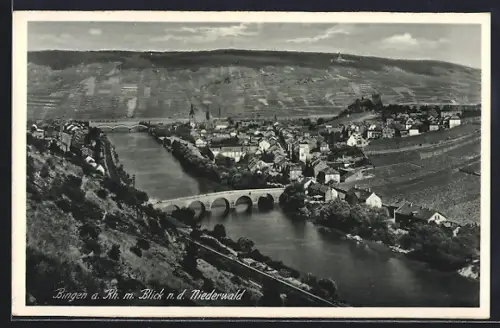 AK Bingen a. Rh., Blick n. d. Niederwald
