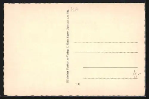 AK Wachenheim / Pfalz, Ortsansicht mit Wachtenburg vom Hexenstein aus gesehen