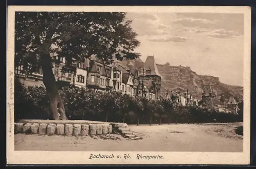 AK Bacharach a. Rh., Partie an der Promenade