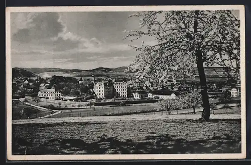 AK Saffig b. Andernach, Blick in die Stadt