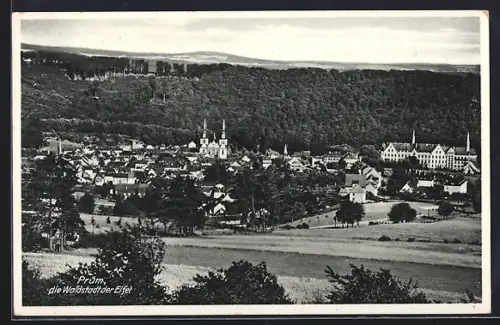 AK Prüm /Eifel, Ortsansicht mit Kirche und Schloss