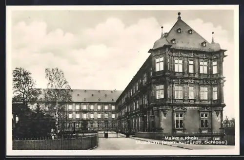 AK Mainz, Museum (ehem. kurfürstl. Schloss)