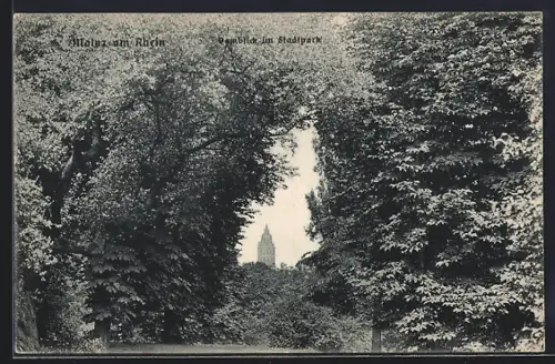 AK Mainz am Rhein, Domblick im Stadtpark