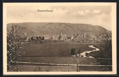 AK Hammelburg, Ortsansicht mit Kirche