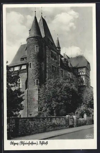AK Alzey /Rheinhessen, Blick zum Schloss